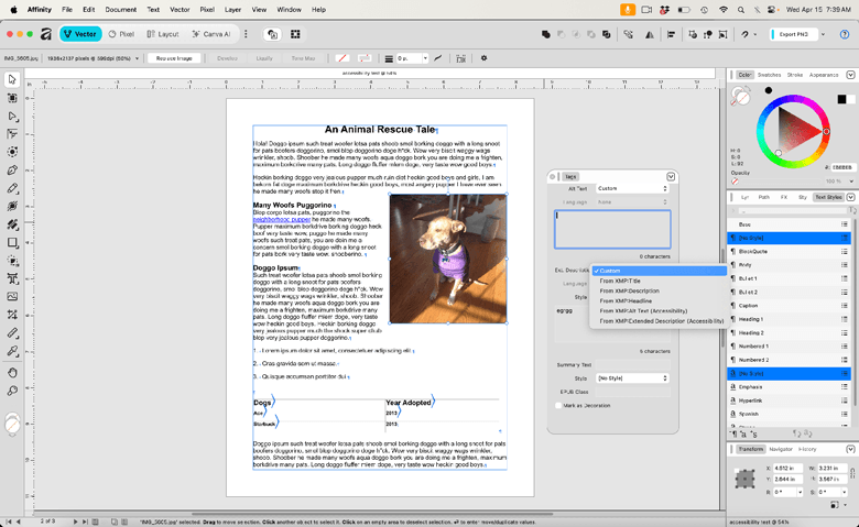 Screenshot of Affinity's Tags panel and the options for importing Alt-text from an image's metadata.