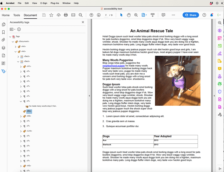 Screenshot of the Div tag in Acrobat.