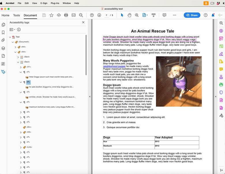 Screenshot of the multiline paragraph tags in Acrobat.