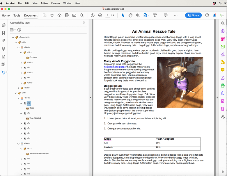 Screenshot of tags in Acrobat.